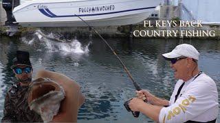 back COUNTRY FISHING in the FL KEYS MANGROVES. so much FISH we didn't have to leave the DOCK!