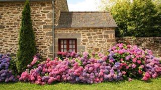 Ландшафтный дизайн Оригинальные идеи / Garden Landscaping Ideas / A - Video