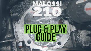 THE ultimate VESPA MALOSSI sport 210 pnp TUNING GUIDE | FMP-Solid PASSion |