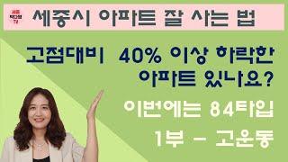 저렴한 세종시 아파트 매물찾기 - 35~40% 하락한 84타입 매물 1부