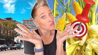Should You Move to Iowa?!