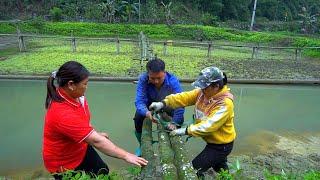 Cherish friendship : COI helps BINH and NGOC couple renovate large garden and pond