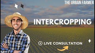 Garden Layout + Intercropping - LIVE CONSULTATION [ LISTEN IN ]