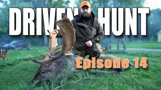 DRIVEN HUNT EP. 14 - Fallow deer, Moose & Roe deer at Christineholm in Sweden