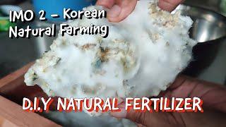 Indigenous Microorganism 2 (IMO 2) | Cheap Effective Natural Fertilizer | KNF