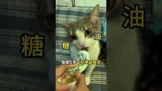 4️⃣招教你养成“梦中情猫”#我的治愈系猫咪话题# #养猫经验分享话题# #新手养猫话题# #猫咪话题# #我的萌宠话题# #梦中情猫话题 #养猫知识 #科学养宠攻略