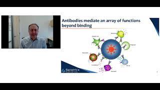 Strategies for Mitigating the Unpredictability of Fc-Mediated Functions in Antibody Development