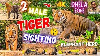 2 MALE TIGER BUMPER SIGHTING  & ELEPHANT HERD ENJOYING WITH BABY'S IN DHELA ZONE | PART 2 