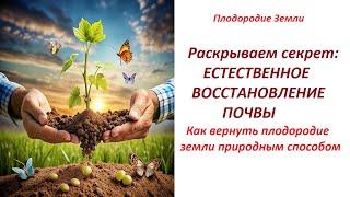 Как создаётся плодородиеВосстанавливаем плодородие природным способом №607/24