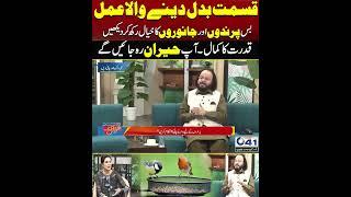 Main Ye Keh Sakta Hon Kay.. | City41 #shorts #shortvideo #Viralshort #viralvideo #ytshorts