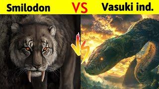 Vasuki Indicus Vs Sabertooth Tiger | क्या पौराणिक काल के सबसे विशाल साँप मार पायेगा smilodon को ?