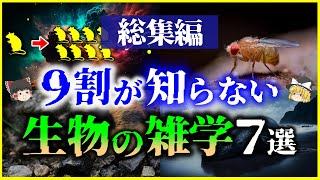 【ゆっくり解説】【総集編】9割が知らない生物のヤバい雑学７選を解説/楽園実験、暗黒バエ、レミング、生物の寿命、クジラ他【作業用】【睡眠用】