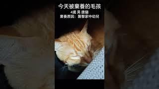 2025年3月29日