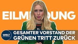 PAUKENSCHLAG BEI DEN GRÜNEN: Kompletter Vorstand tritt zurück! | EILMELDUNG