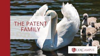 The Patent Family