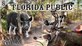 SHOTS FIRED! - Bow HUNTING Florida WMA - Public Land (Non quota)