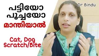 പട്ടിയോ പൂച്ചയോ മാന്തിയാൽ/Cat  Dog bite or scratch/Rabies/ പേപ്പട്ടി വിഷബാധ കുത്തിവെപ്പ്/Dr Bindu