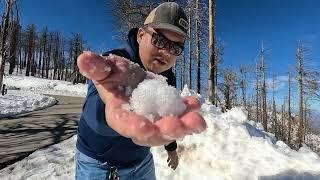 SNOW IN MT. LEMMON 2024 | TUCSON, AZ, USA | JOPHENX VLOG