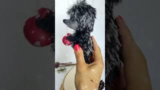 Ёжик в тумане))) Вязаный ёжик