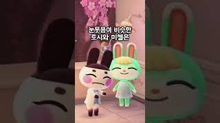 귀가 계속 흔들리는 토끼 주민들  (모동숲)