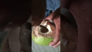 #Healthy coconut water#trending#vairal#short