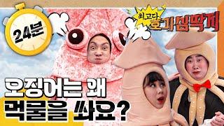 오징어는 왜 먹물을 쏴요?｜고양이는 왜 어둠 속에서 앞을 잘 봐요?｜최고다! 호기심 딱지｜[EBS놀이터]