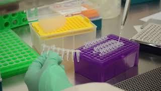 Research laboratories help to fight COVID-19 in South Africa: DIPLOMICS, TIA, DSI, SAMRC initiatives