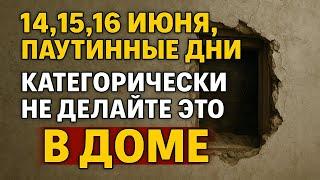 14, 15, 16 июня, паутинные дни. Что нельзя делать. Народные приметы традиции. Ритуалы обряды сегодня