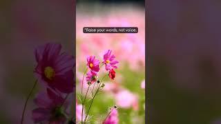 It's Rain That Grows Flowers  #rumi #quotes #shorts