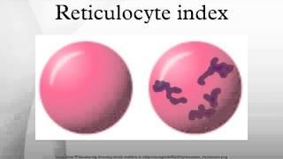 Reticulocyte index