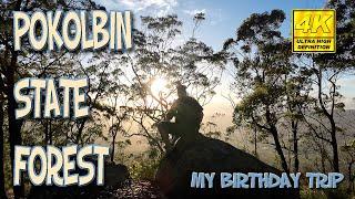 Pokolbin State Forest - My birthday Trip Pt 1