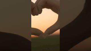 The 3 orders of love in Family Constellations #familyconstellations #berthellinger #therapy
