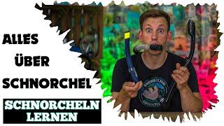 Alles was du über SCHNORCHEL wissen musst!  •  Schnorcheln lernen