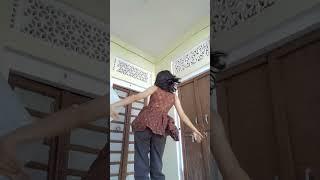 shuddh desi ....#shorts #feed #viral #trending