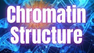 The Structure of Chromatin