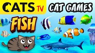 CAT GAMES   FISH Compilation for cats  4K 60 FPS [3 HOURS]