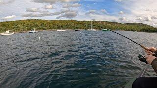 Рыбалка в Кольском заливе Баренцева моря / sea ​​fishing