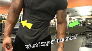 How to get bigger forearms (guide for forearm growth)