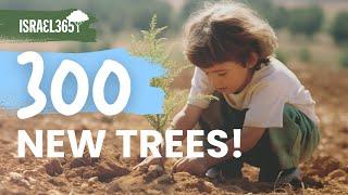 Planting 300 Trees on Tu Bshvat in Memory of Amiad Yisrael Ish Ran