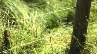 Simple Maintenance Tasks for High-Tensile Electric Fencing by Zareba®