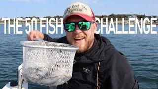 The 50 FISH Challenge. Catching Mackerel in Maine as fast as I can.