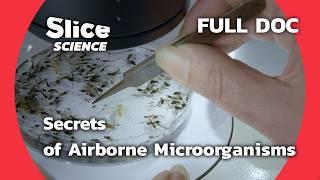 The Hidden World of Airborne Microorganisms | SLICE SCIENCE | FULL DOC