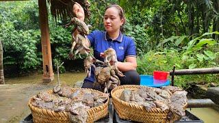 Harvesting & Find Frog Goes to market sell - Cooking - Live with nature