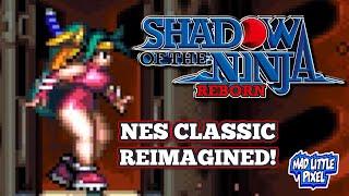 Now With Thicker Thighs! 90'S NES Classic Shadow of The Ninja Remade For The Switch!