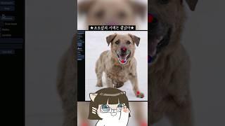 시대를 바꿀 사진 편집 기능ㅋㅋㅋ