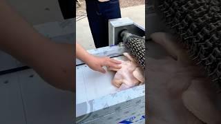 Meat Cutting Machine for Diced Duck Meat