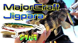 Major Craft Jigpara. Catch Spotted Bay Bass.  [Light Shore Jigging / How to tips]