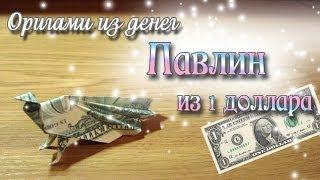 Павлин из доллара Money Origami Peacock