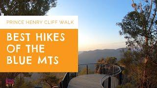 Blue Mountains Hikes - Prince Henry Cliff Walk