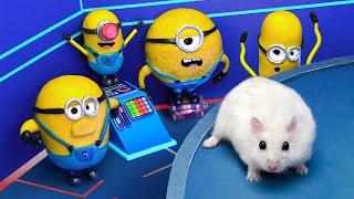 Hamster Adventures In Minions World - If Hamster Was In Despicable Me 4